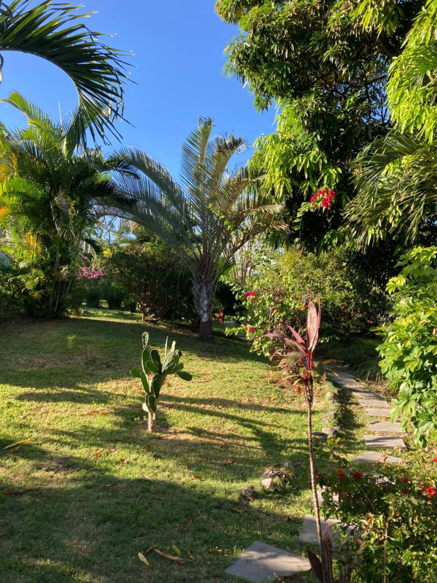 Bed and Breakfast La Maracuya Panama Playa Coronado Zewnętrze zdjęcie