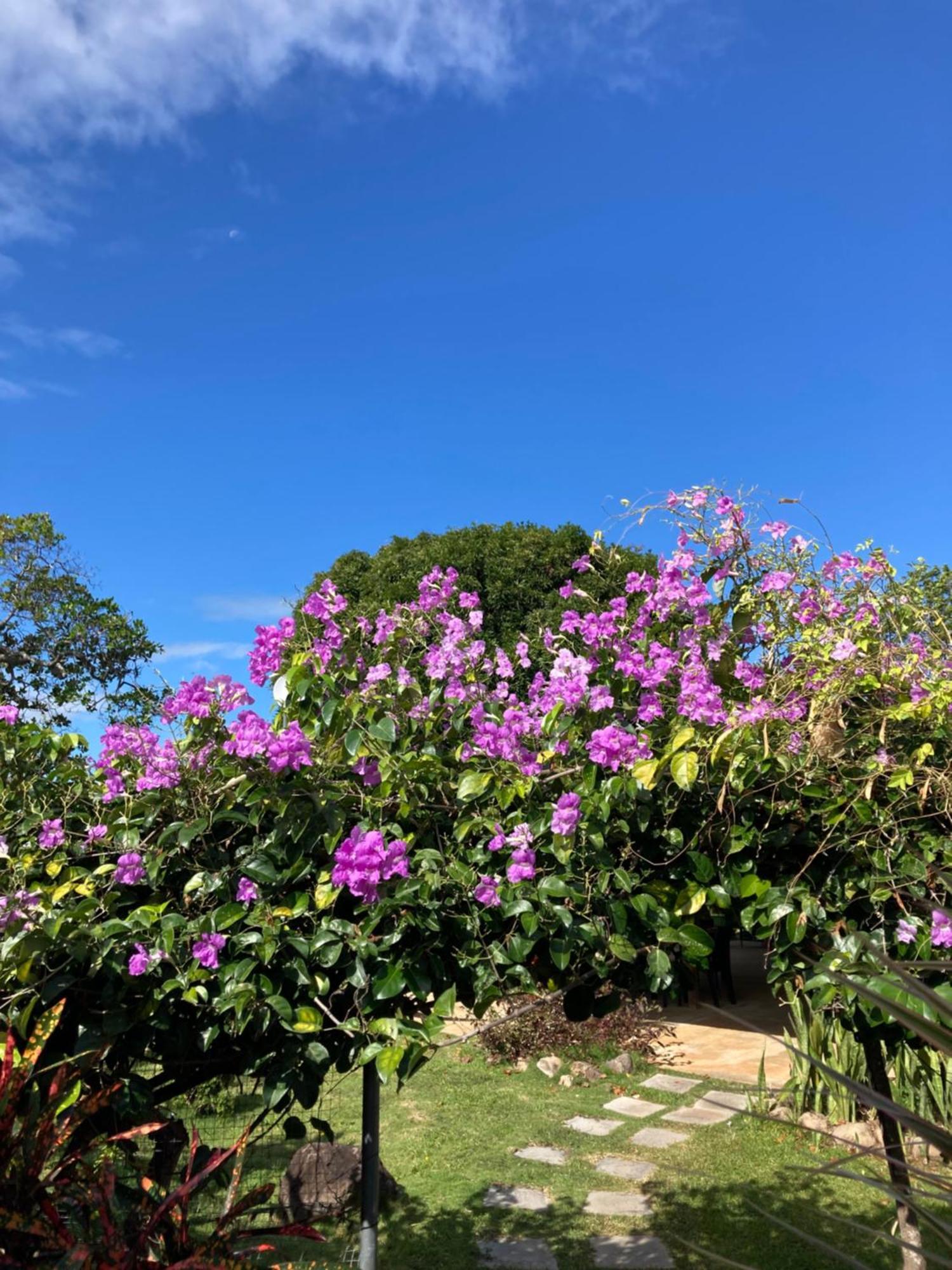 Bed and Breakfast La Maracuya Panama Playa Coronado Zewnętrze zdjęcie
