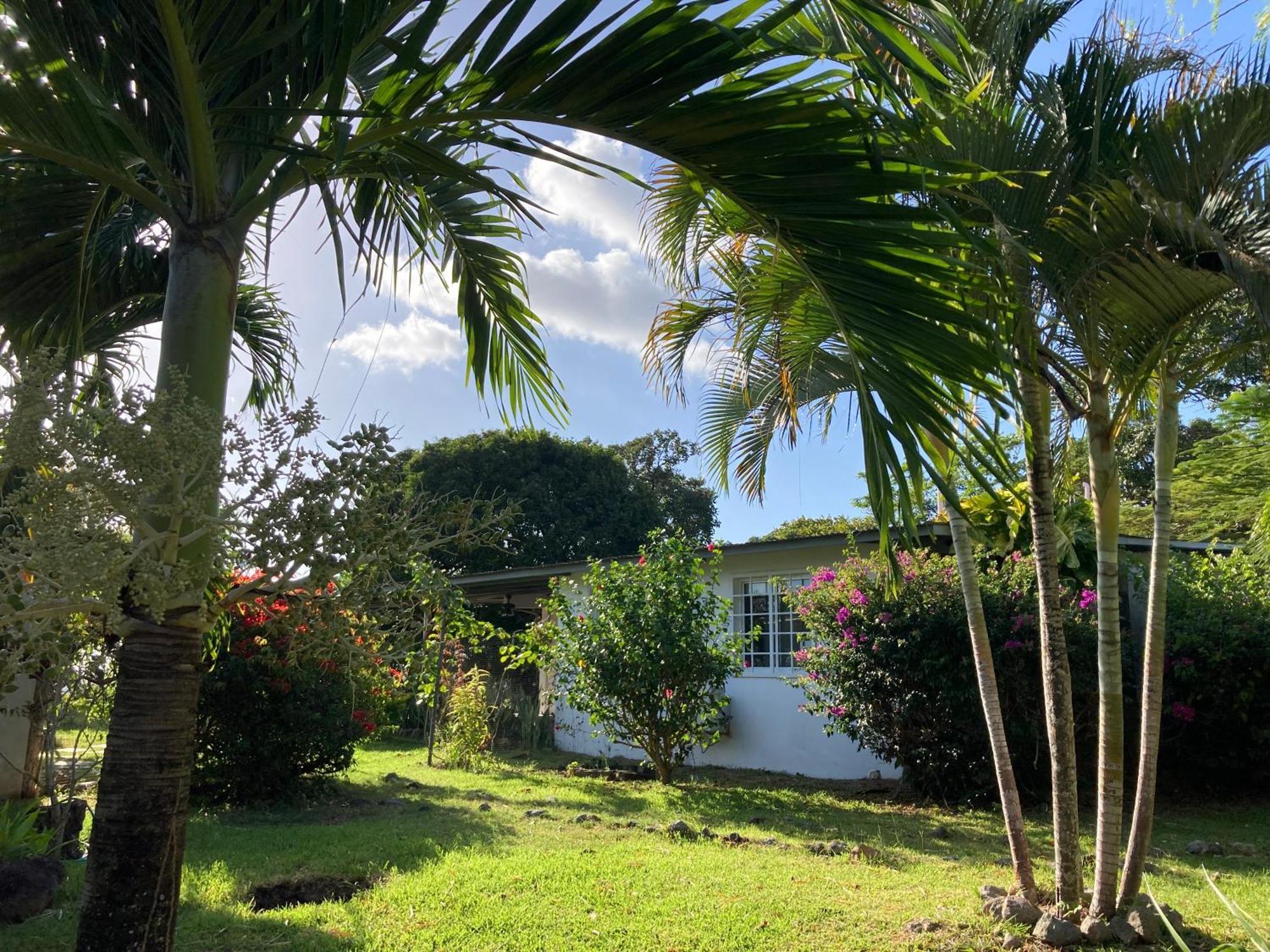 Bed and Breakfast La Maracuya Panama Playa Coronado Zewnętrze zdjęcie