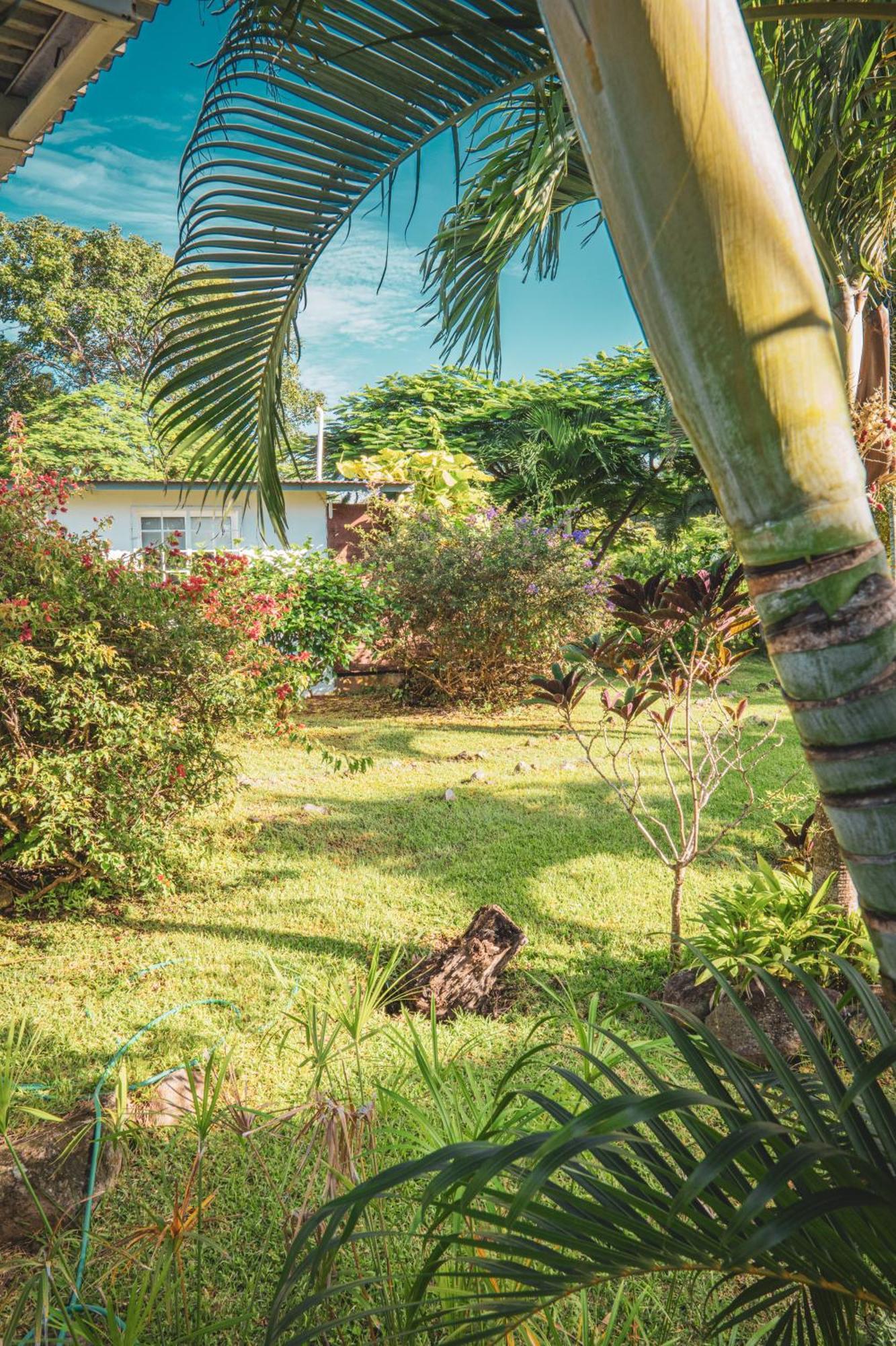 Bed and Breakfast La Maracuya Panama Playa Coronado Zewnętrze zdjęcie